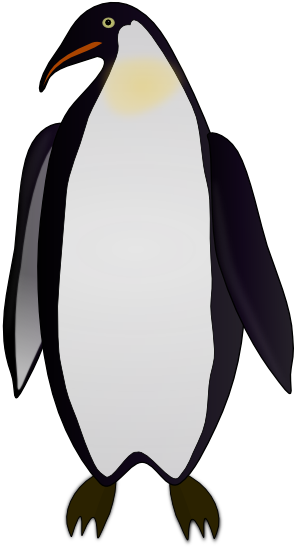 Suliformes (294x593)