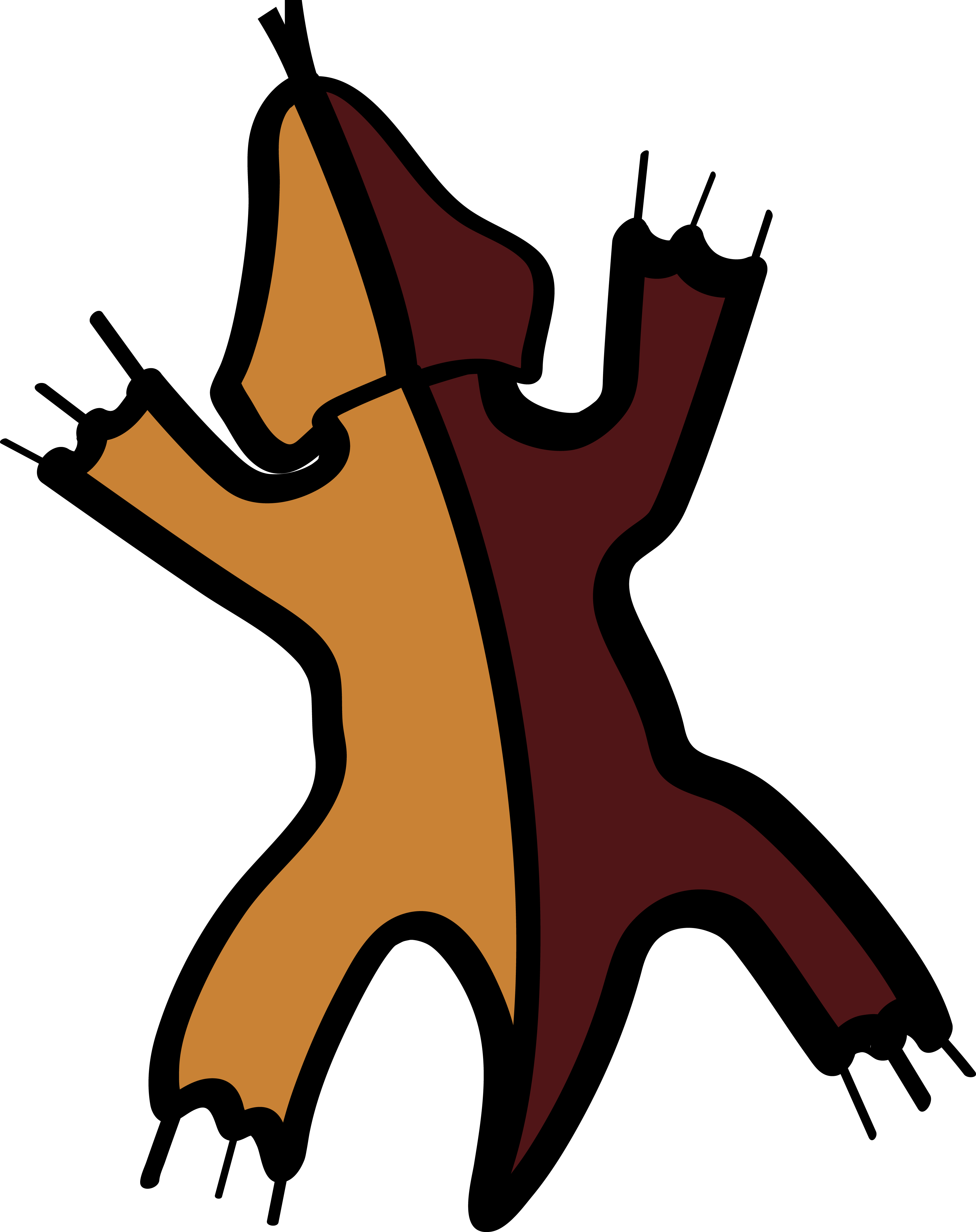 Dragonet (3572x4507)