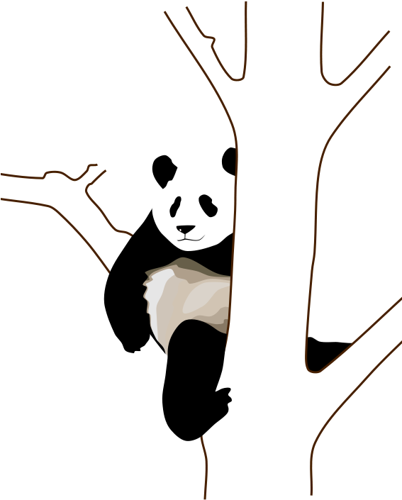 Panda Clip Art (566x800)