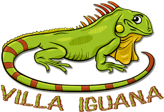 Com Free, Format Top, - Iguana Para Logo (600x386)