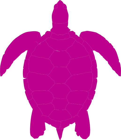 Sea Turtle Clip Art (516x597)