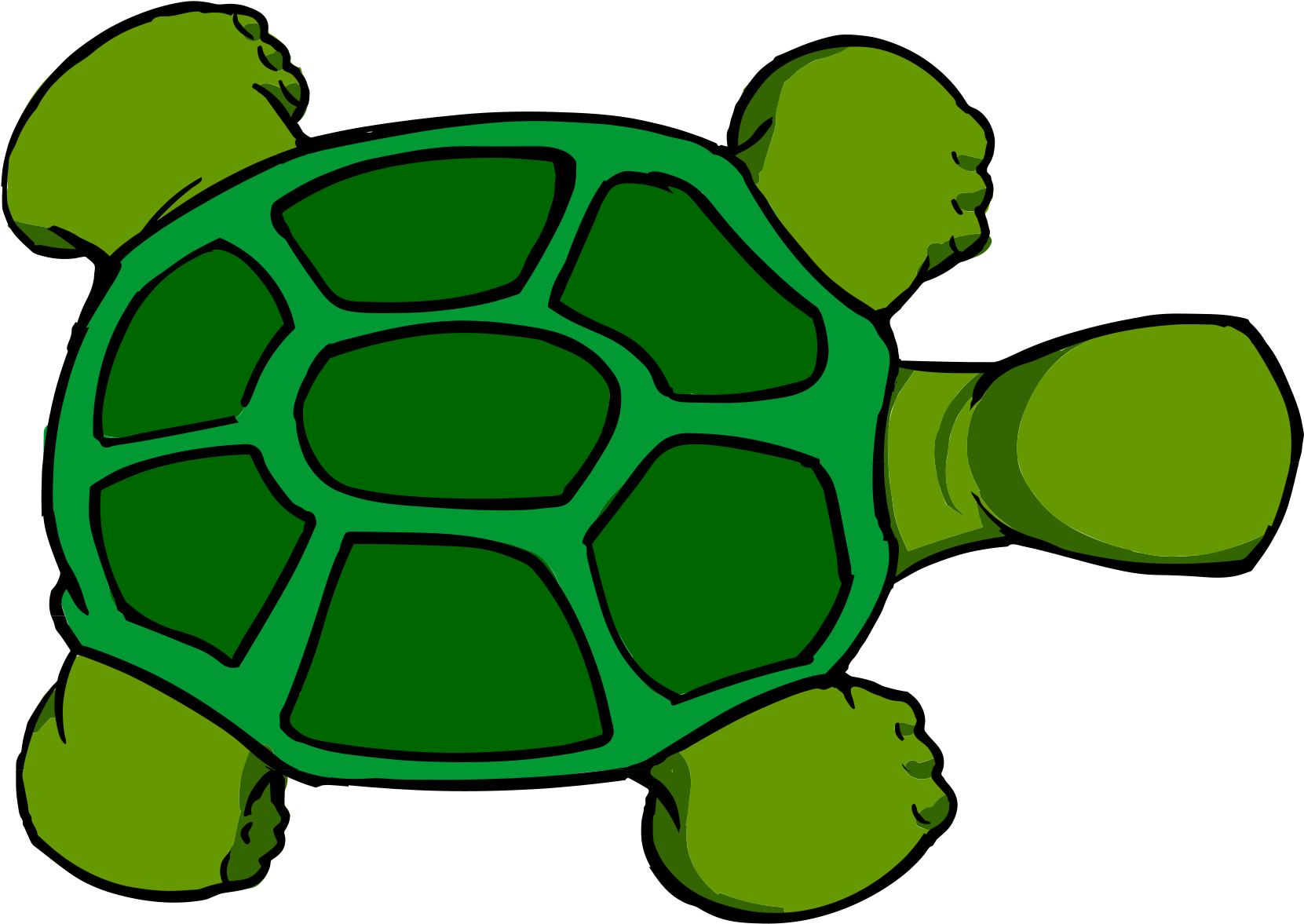 Kturtle Top View - Turtle Cartoon Top View (2000x1324)
