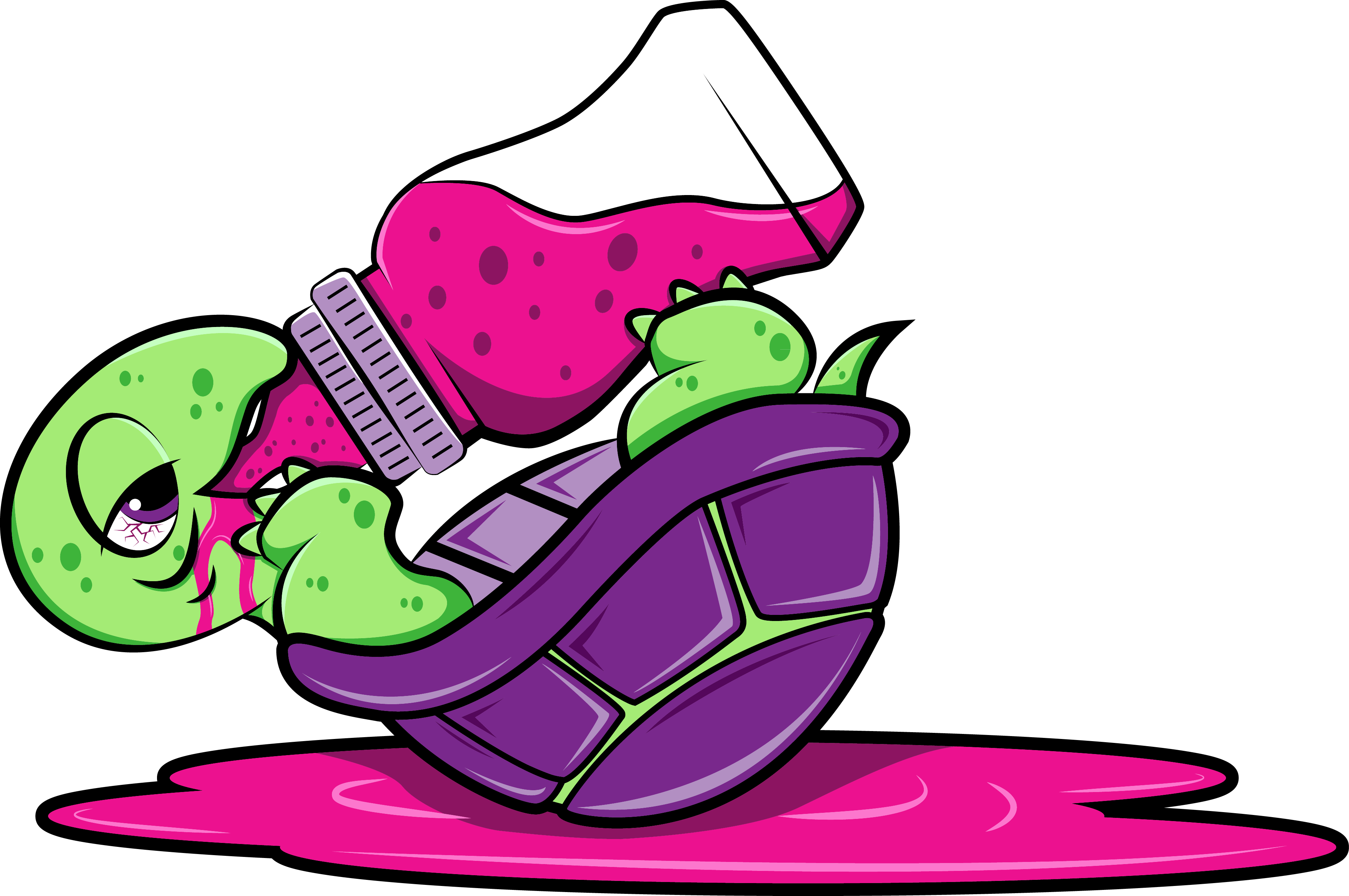Purple Turtle - Purple Turtle (3763x2499)