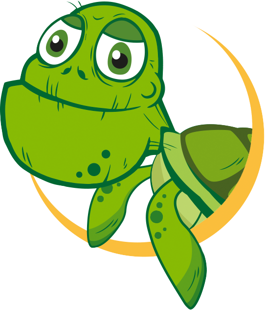 Turtle - Turtle (542x632)