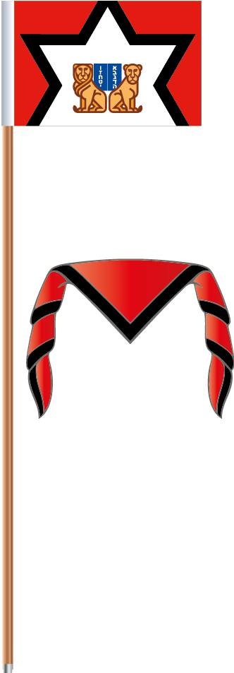 Js Flag - Flag (343x964)