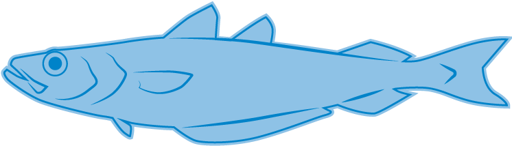 Blue Whiting - Blue Whiting (750x300)