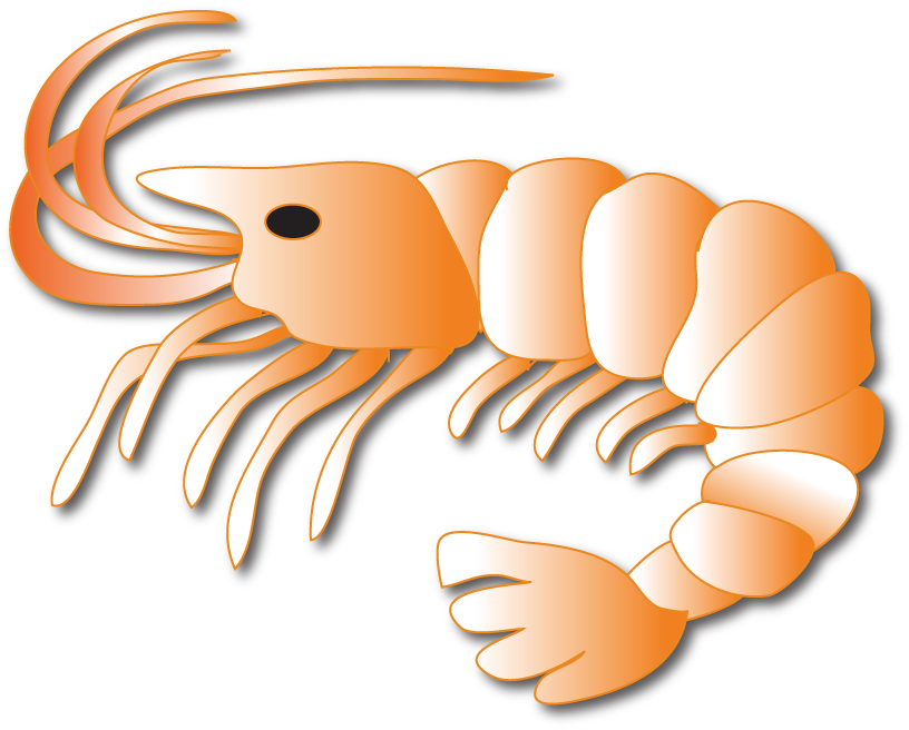 Decapods (816x656)