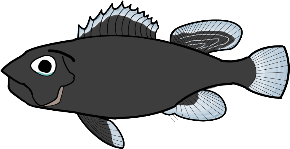 Sad Fish - Sole (1074x677)