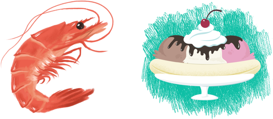 Prev / Next - Prev / Next (1000x500)