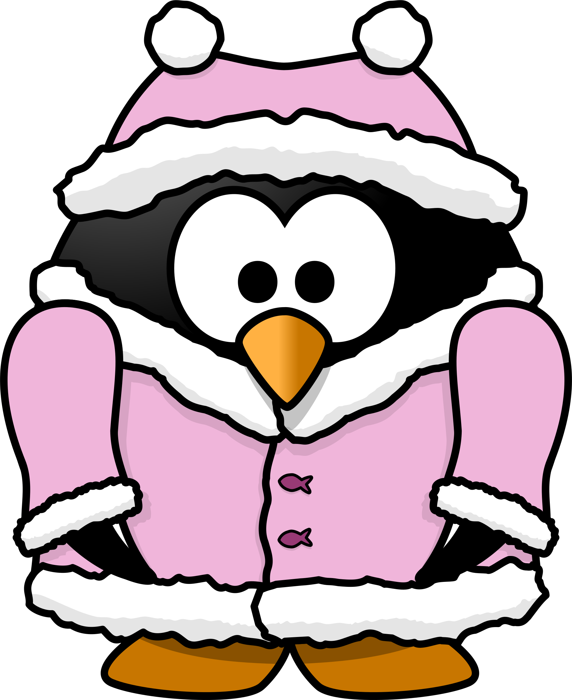 Big Image - Penguin In A Coat (1960x2400)