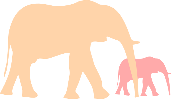 Decal (600x347)