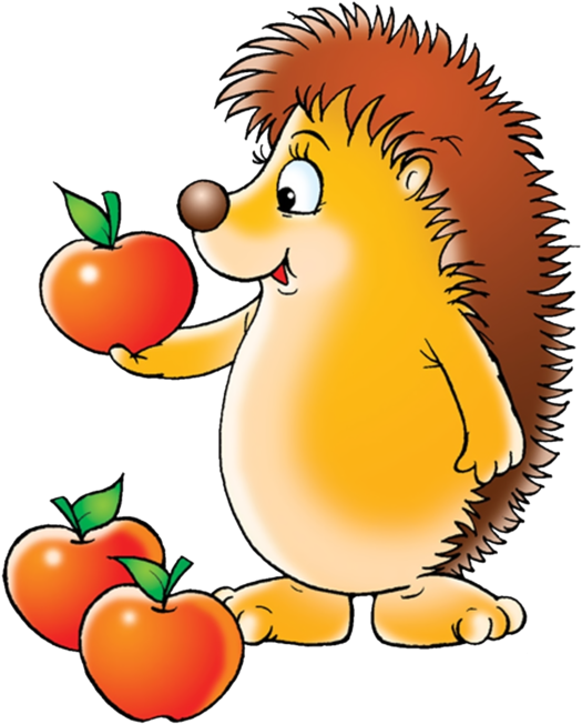 Ёжик Пнг - Hedgehog Clipart (564x699)