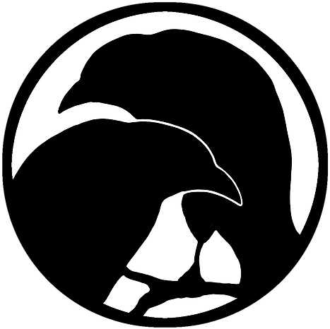 Training (600x516)