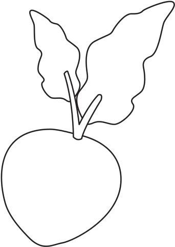 Beetroot Fresh Raw Vegetable - Silhouette (550x550)