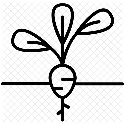 Beet Icon - Gardening (512x512)