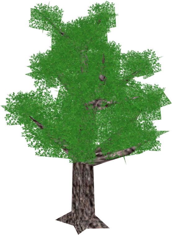 Daimyo Oak - Christmas Tree (800x800)