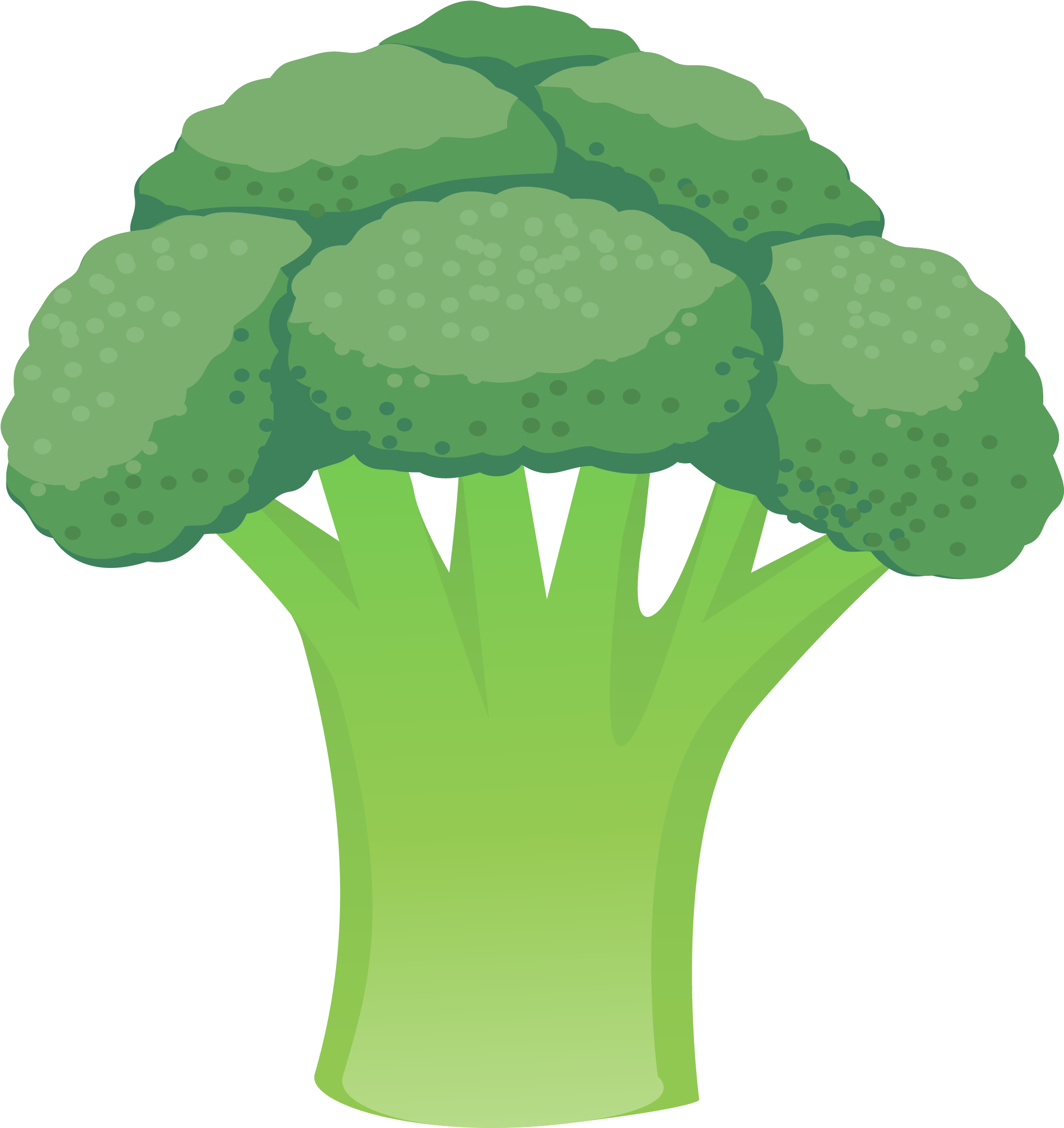 Cauliflower Vegetable Broccoli - Cauliflower Vegetable Broccoli (2733x3118)
