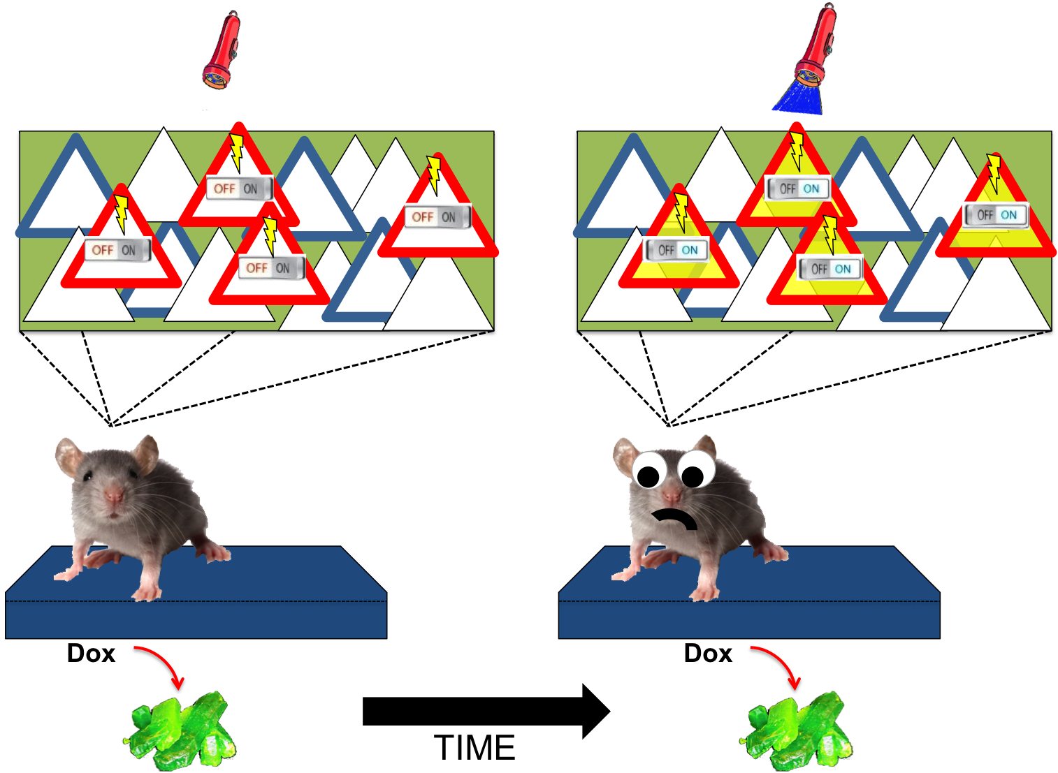 Clip Art (1514x1107)
