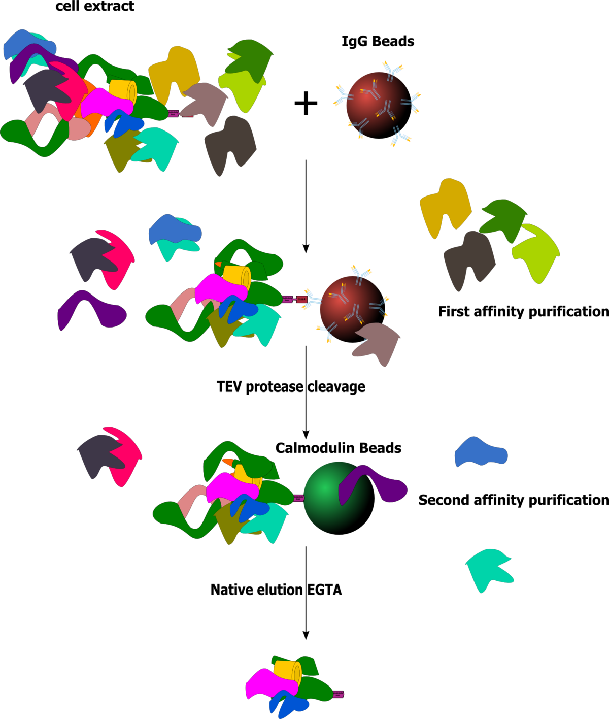 Clip Art (1200x1416)