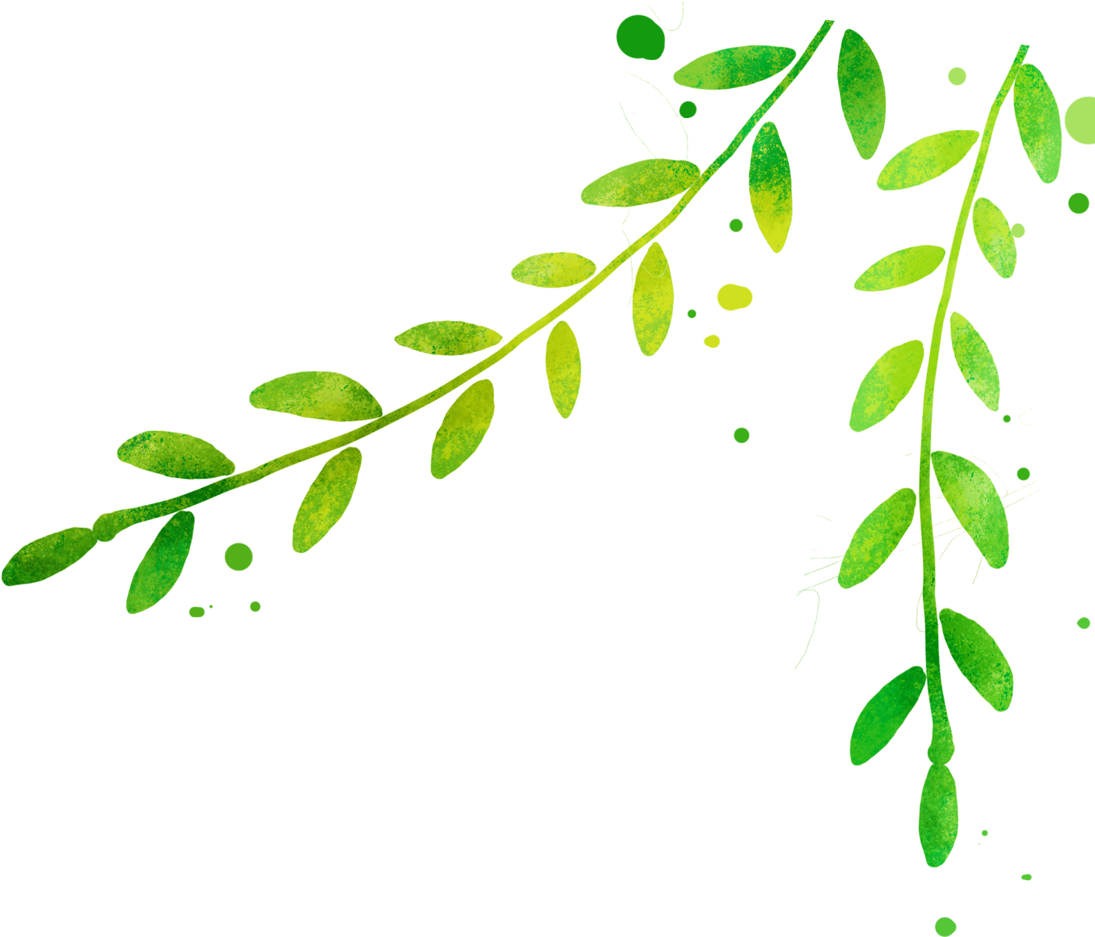 Leaf Poster Drawing - Sailboat (1585x1357)