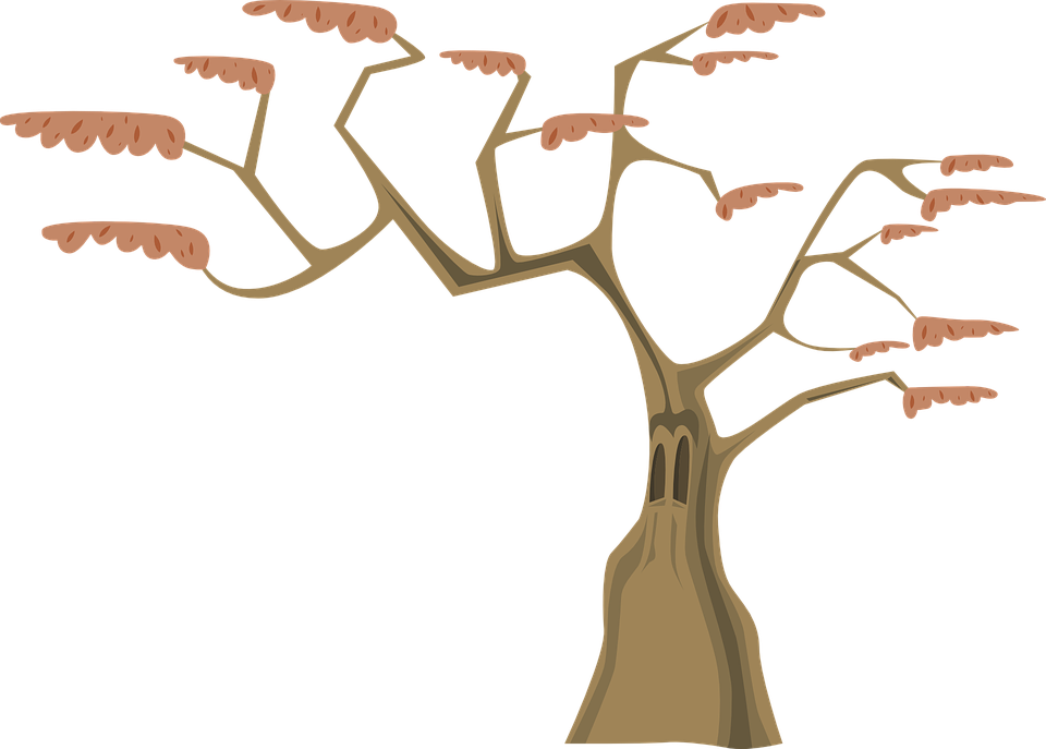 Arbol Con Ramas Animado (960x687)