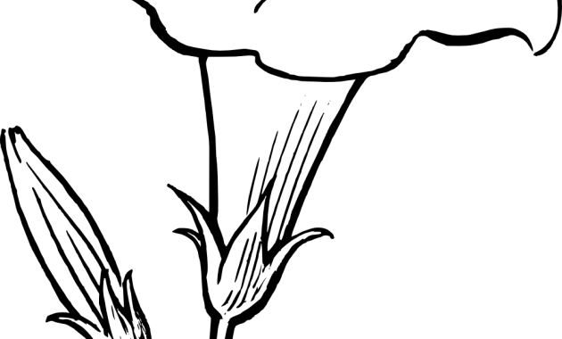 Flower Black And White Drawing (630x380)