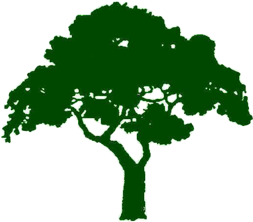 Sayer's Tree Services - Balsa (717x635)