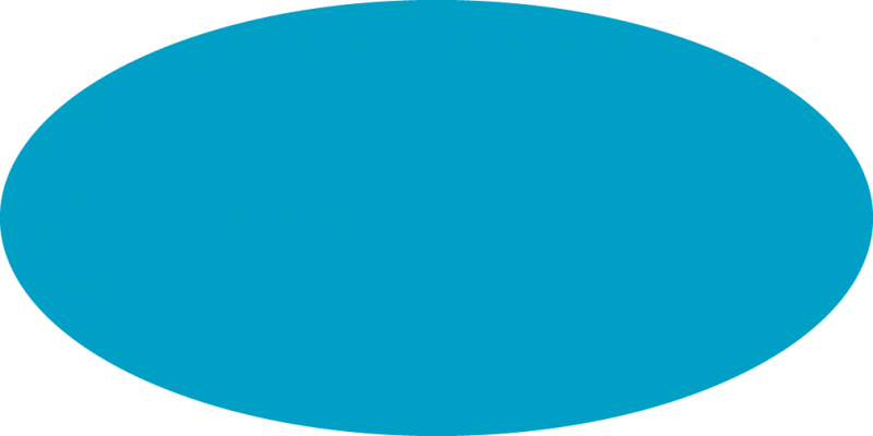 Oval - Servicenow (800x400)