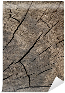 Plank (400x400)