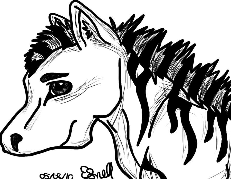 Zebra Outline By Caninecanvas - Drawing (900x700)