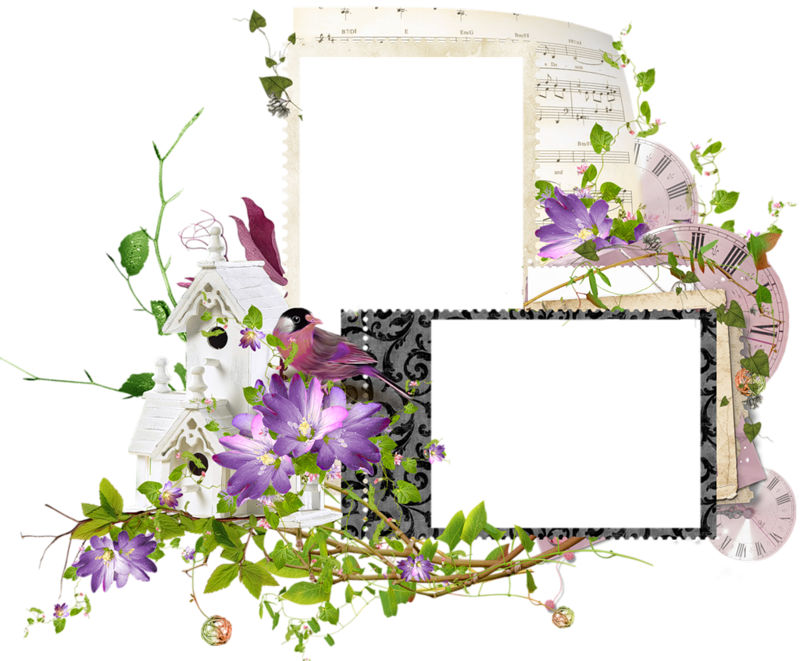 Double Frames With Flowers - Picture Frame (800x661)