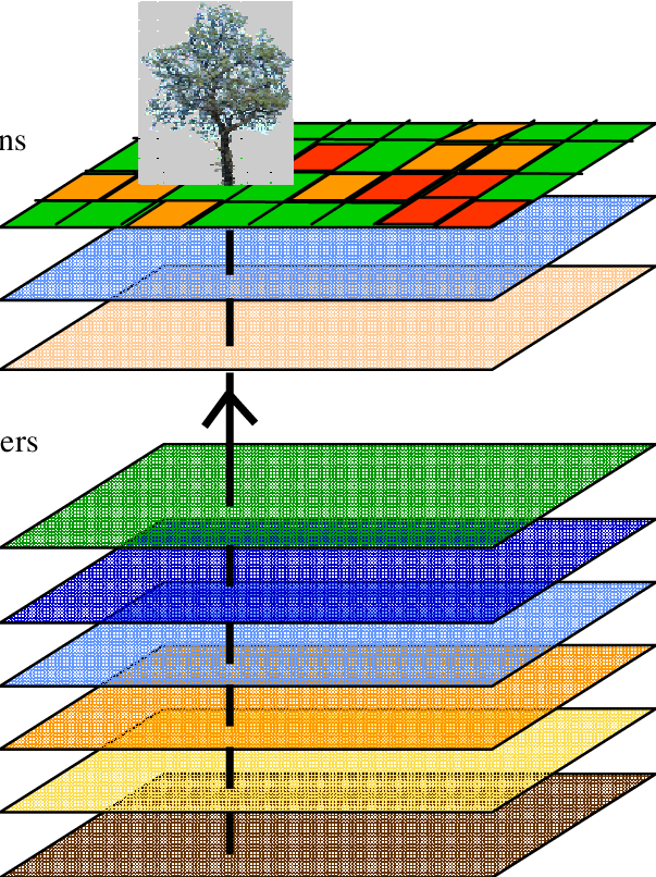 Winds Model Layers - Tree (603x806)