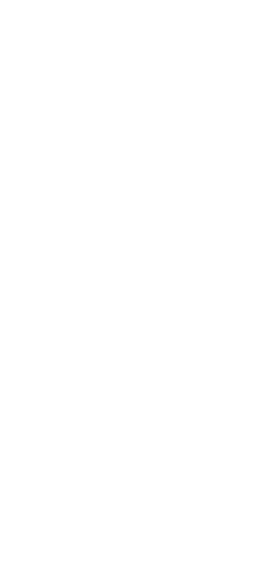 Advanced - Advanced (237x517)