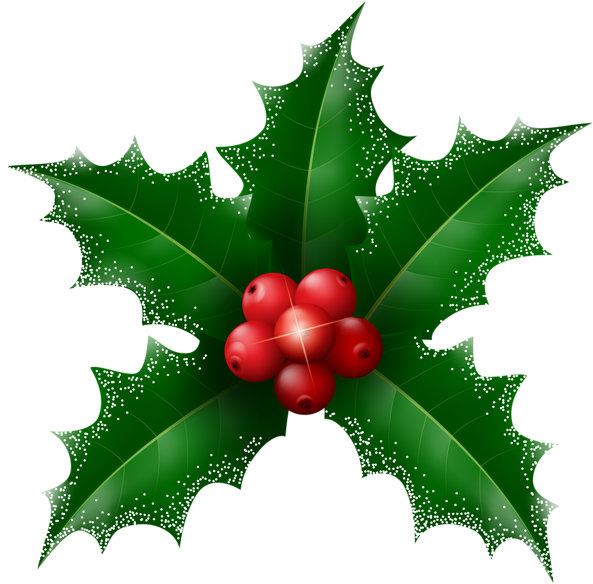 Christmas Berry Transparent (8000x7884)