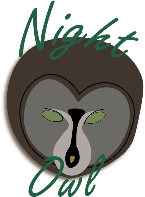 Owl - Illustration (500x670)