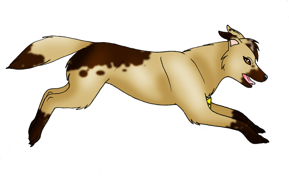Image - Lion (640x393)