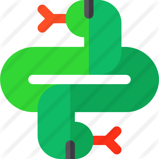 Snake - Snake (512x512)