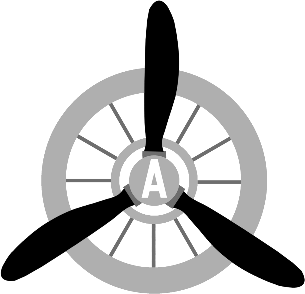 American Aviators Logo - Emblem (1000x1000)