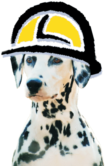 Dalmatian (368x571)