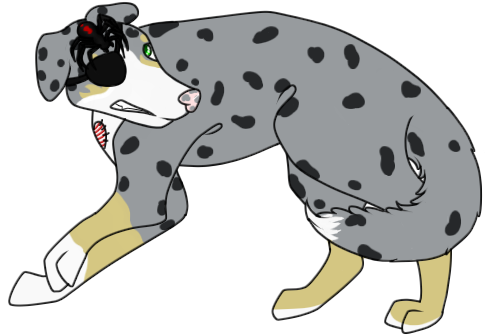 Image - Dalmatian (600x400)