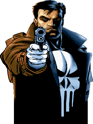 Punisher War Journal (300x400)