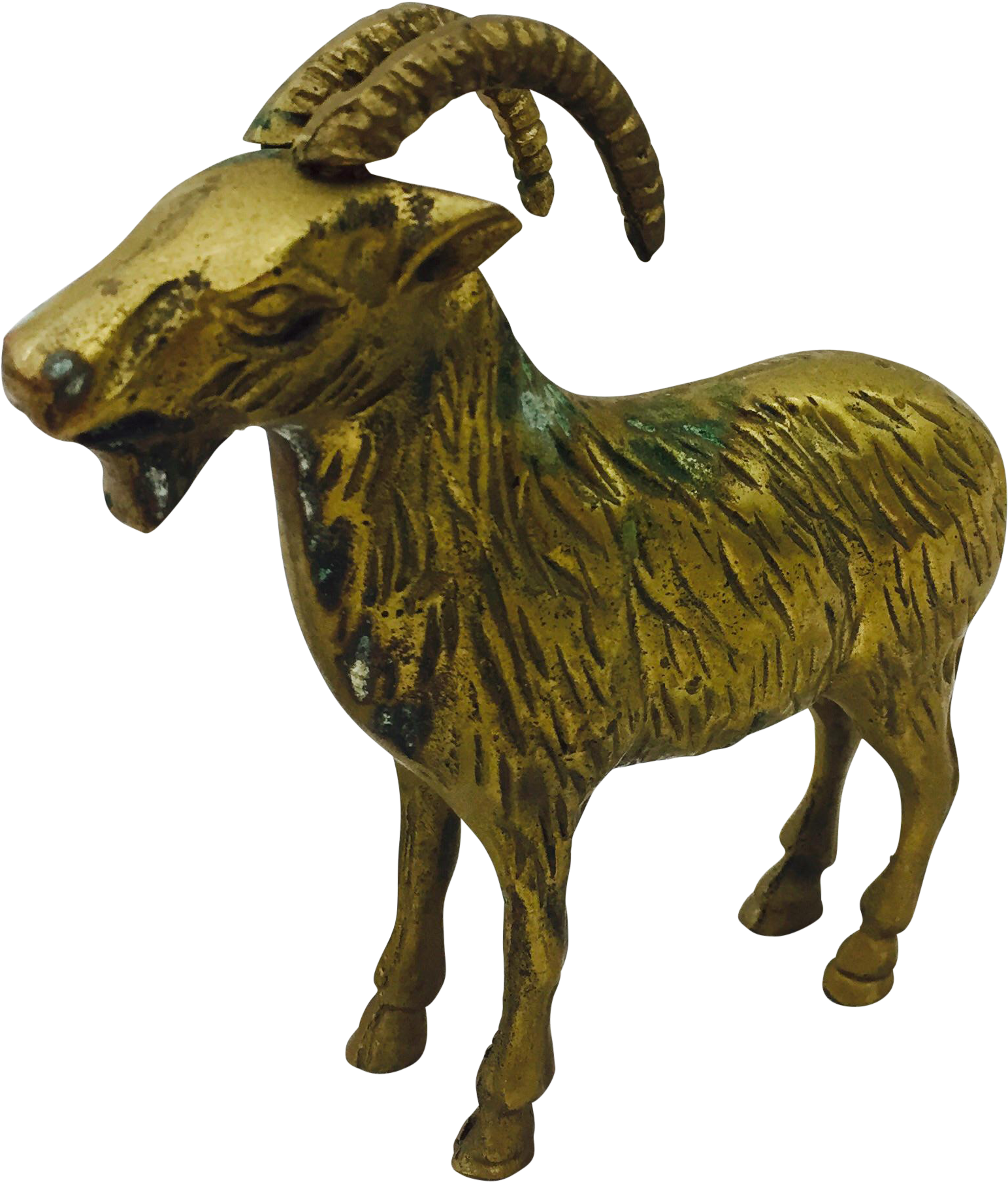 Goat (1713x2010)