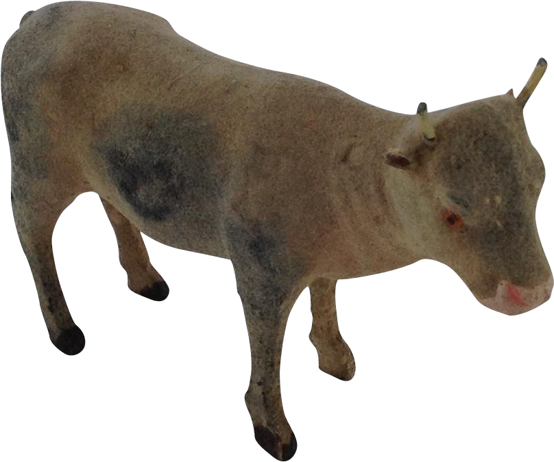 Calf (807x807)