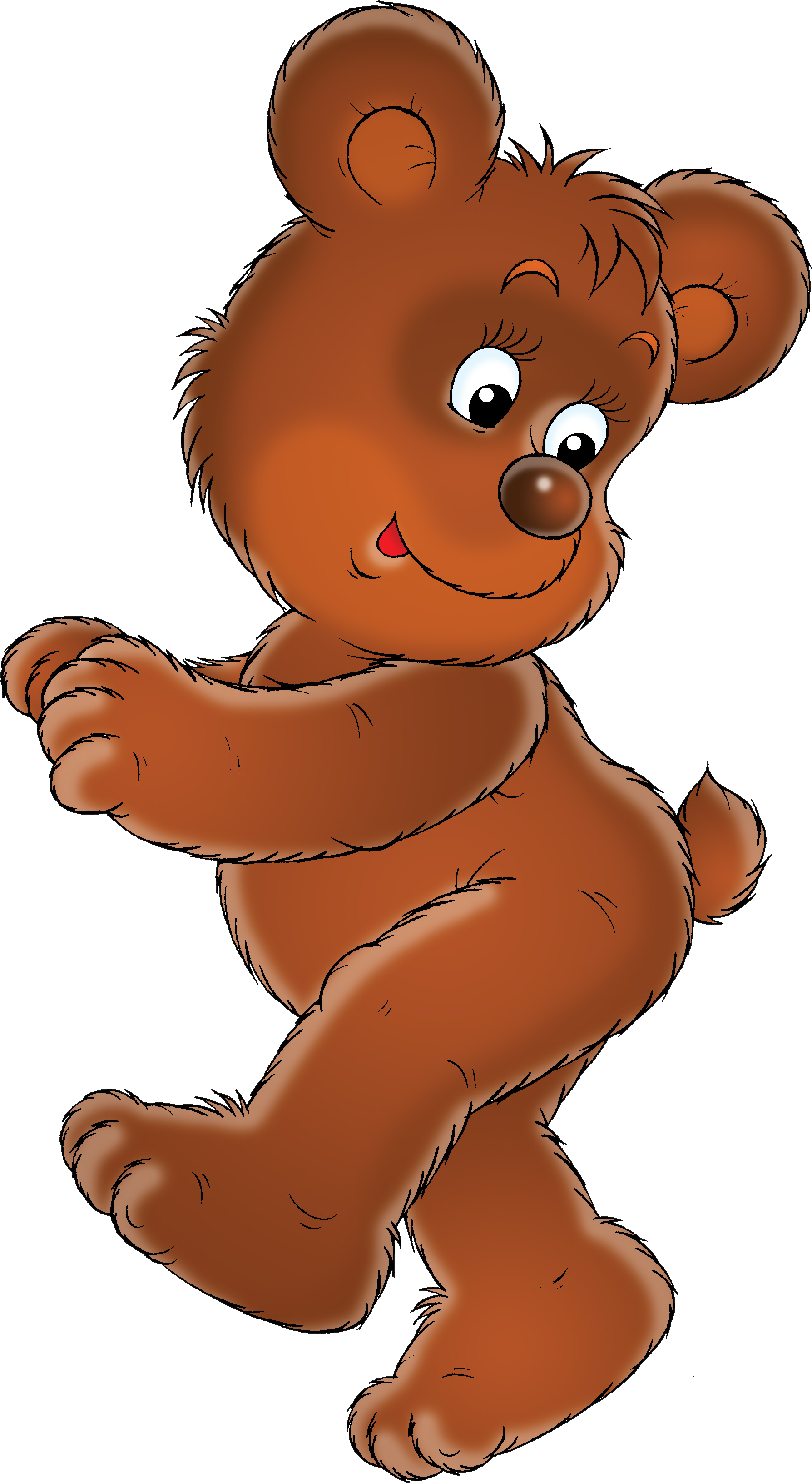 Brown Bear (1976x3392)