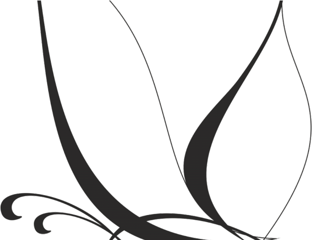 Free Butterfly Vector - Butterfly Vector Art (640x480)