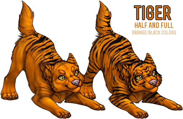Bengal Tiger (599x402)