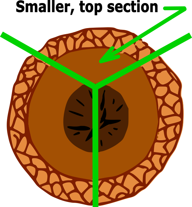 Clip Art (630x679)
