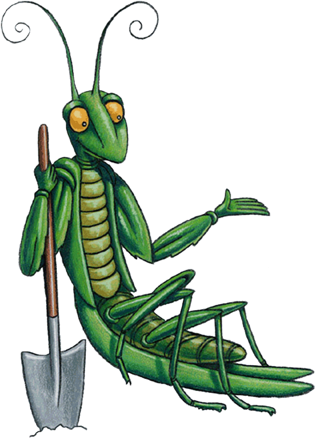 Mantis - Jmg Character - Junior Master Gardener (655x900)