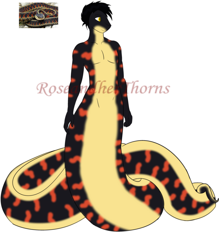 Adopted Garter Naga = Clayton - Python Family (894x894)