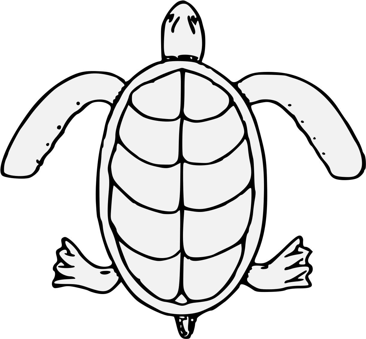 Pdf - Sea Turtle (1237x1152)